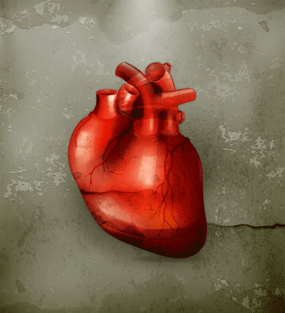 변내과의원 주력과목 심장질환